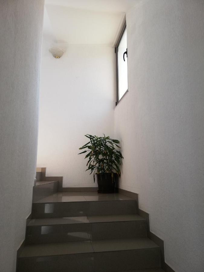 Yeshill Apart & Studio Budva Buitenkant foto